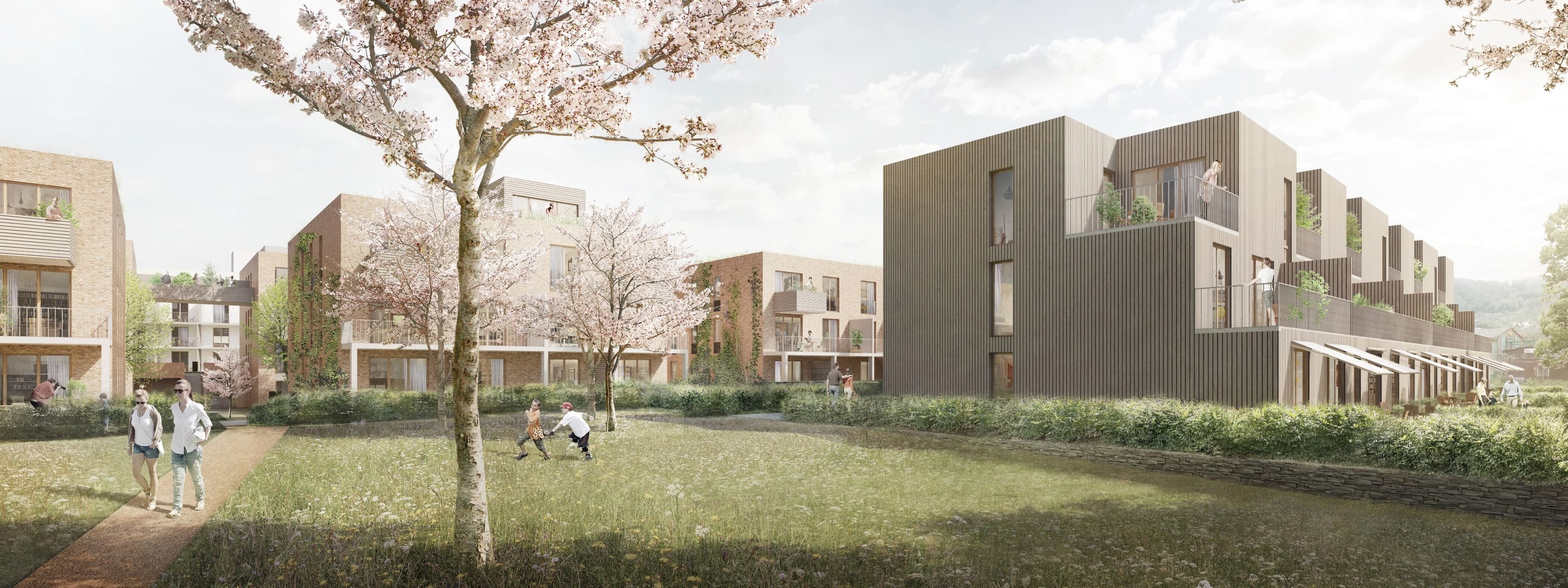 Park so stromami čerešne počas jasného dňa